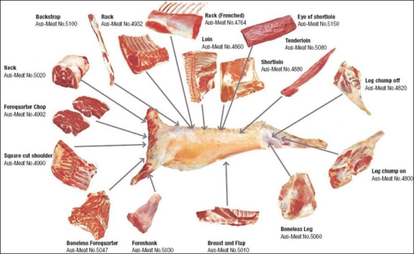 Sheep Meat